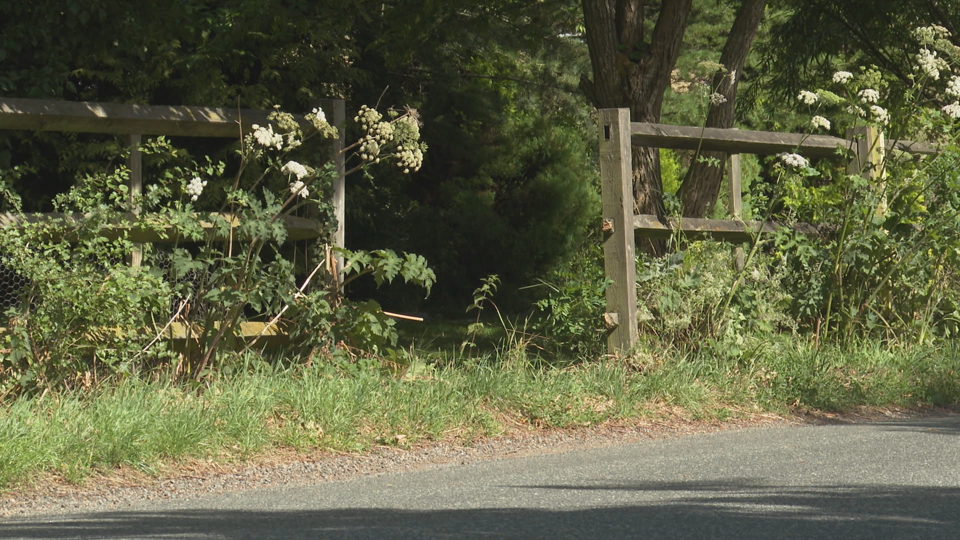 Teenage girl killed and three seriously injured after car crashes in