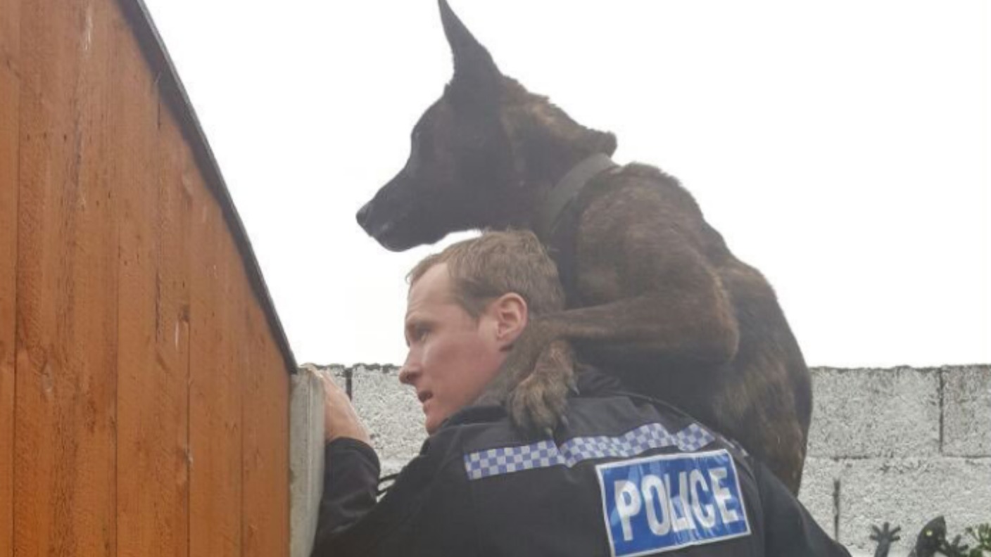 Hero police dog puts his paws up after nine years serving North ...
