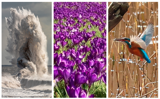 March 2022 Your weather pictures for the Tyne Tees region ITV News