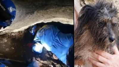 Pup Roxy had to be rescued by Coleraine Coastguard after getting trapped in a coastal cave at Portbradden at the western end of Whiterocks Beach on the North Coast.