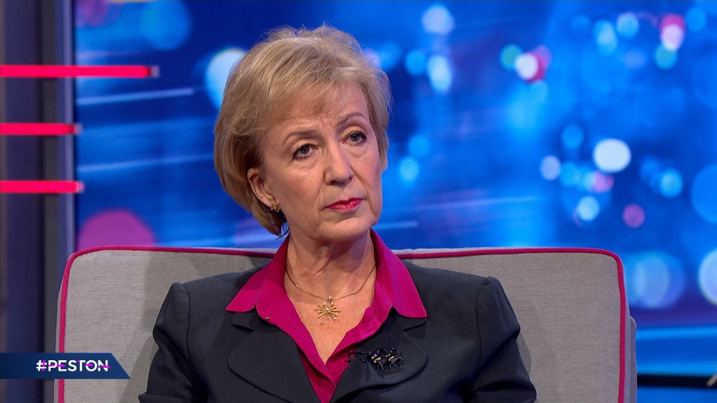 Andrea Leadsom Says No Backstop Including Time-limited One Will Be In ...