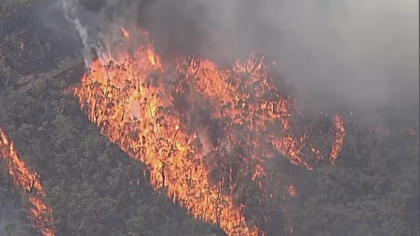 Sydney cloaked in thick soup of smoke amid 'out of control' fires ...