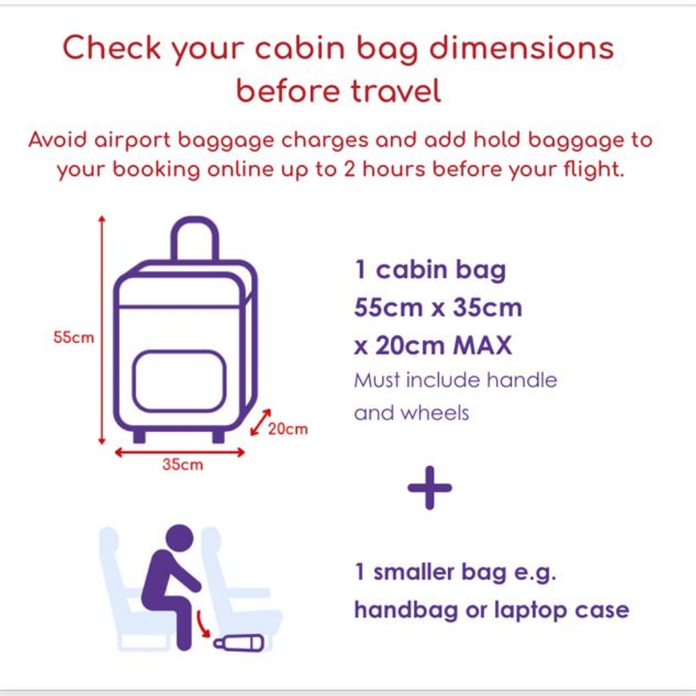 flybe baggage dimensions