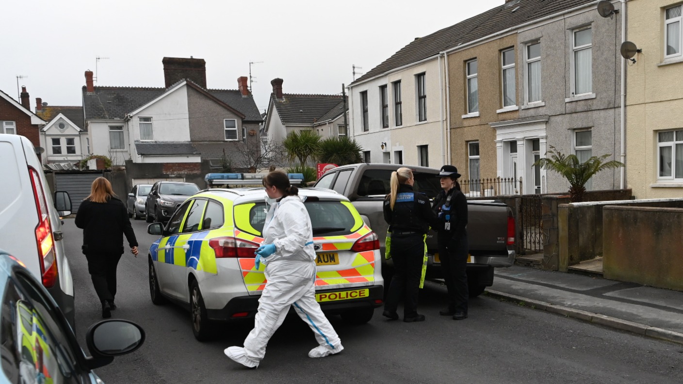 Llanelli: Mystery swan and duck deaths investigated