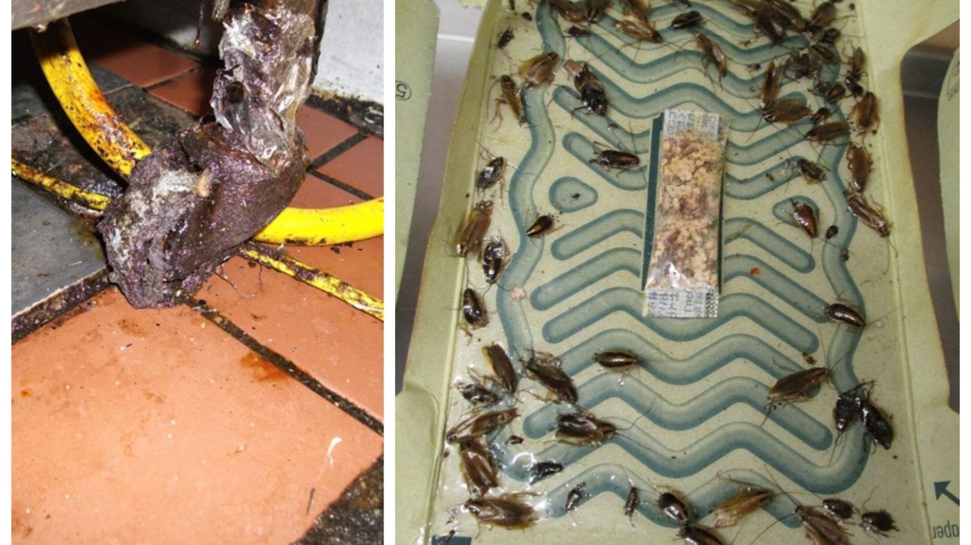 Owners of 'cockroachinfested' Luton takeaway fined £13,000 ITV News