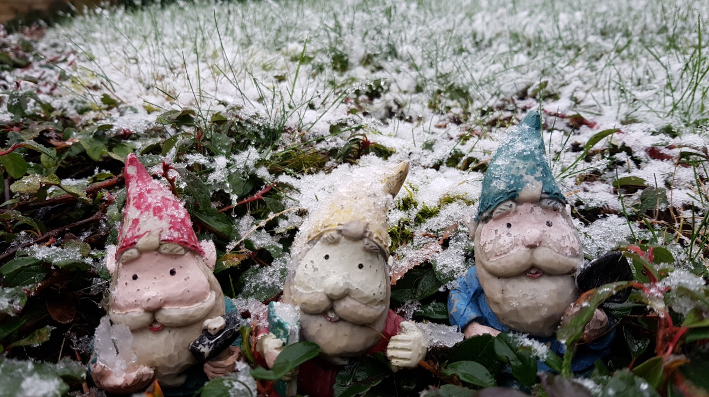 Snow pictures from across the East | ITV News Anglia