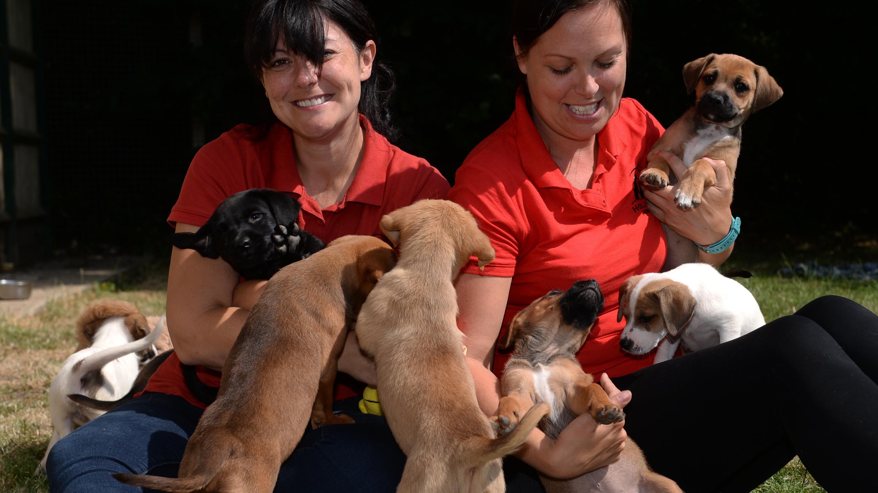 animal-rescue-centre-in-bristol-preparing-for-staff-to-live-on-site-in