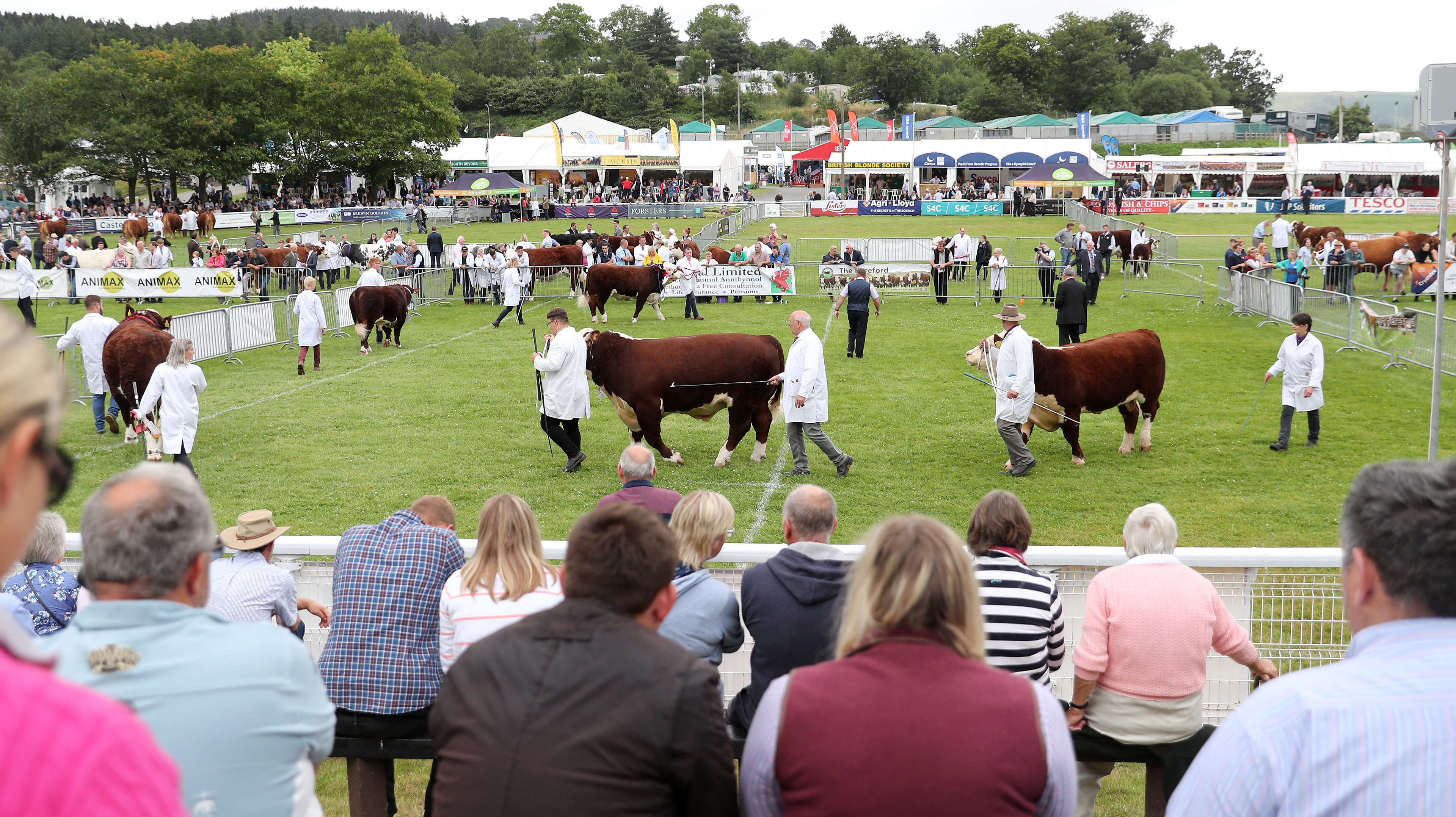 royal-welsh-show-cancelled-due-to-coronavirus-outbreak-itv-news-wales