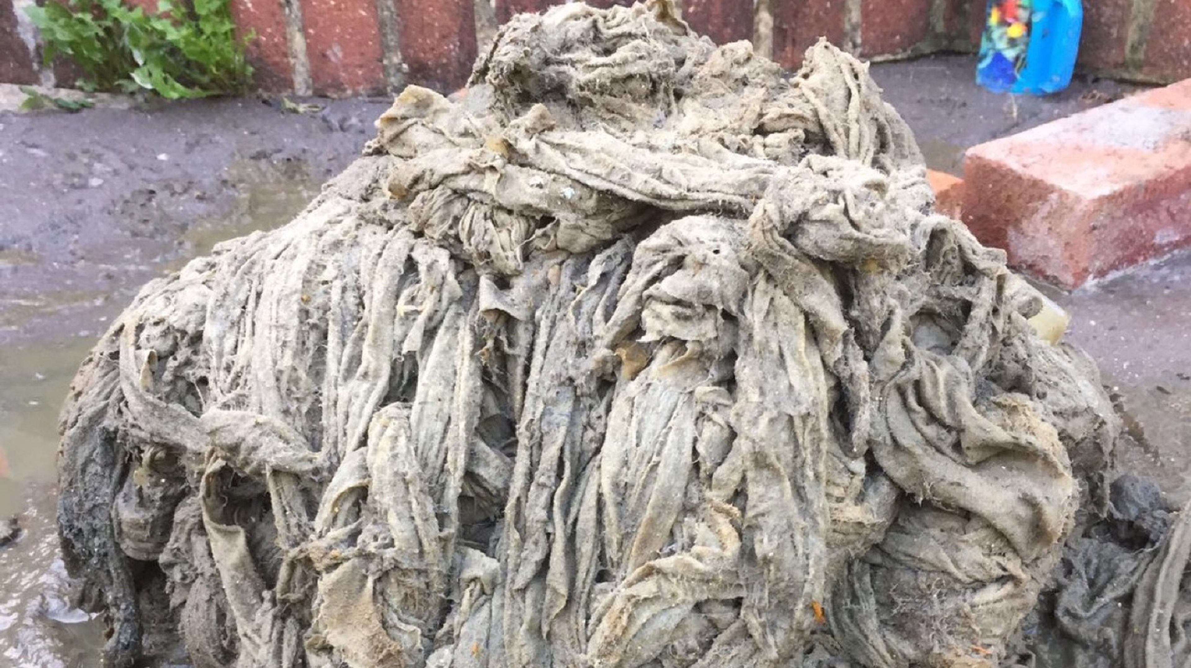 Toilet roll shortage leads to increase in blocked sewers as more people