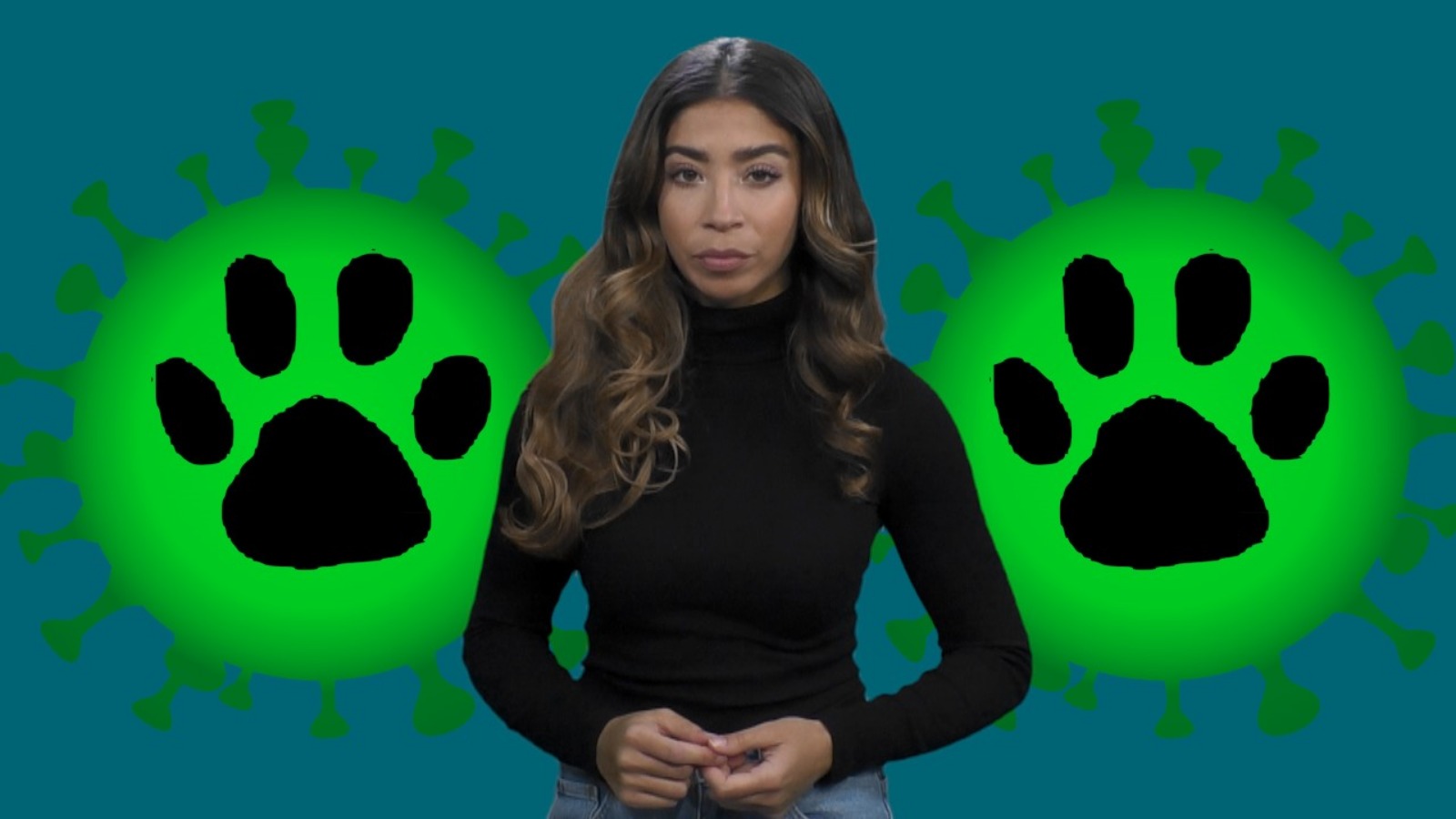 Can your dog or cat get coronavirus? Or could you catch it from your