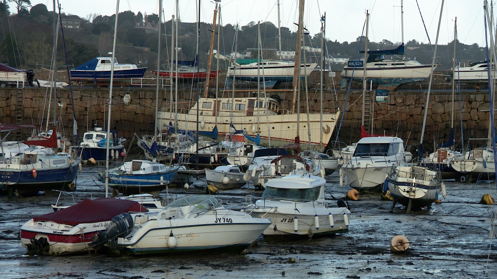 Atlantic Bluefin Tuna given protected status in Jersey ITV News Channel