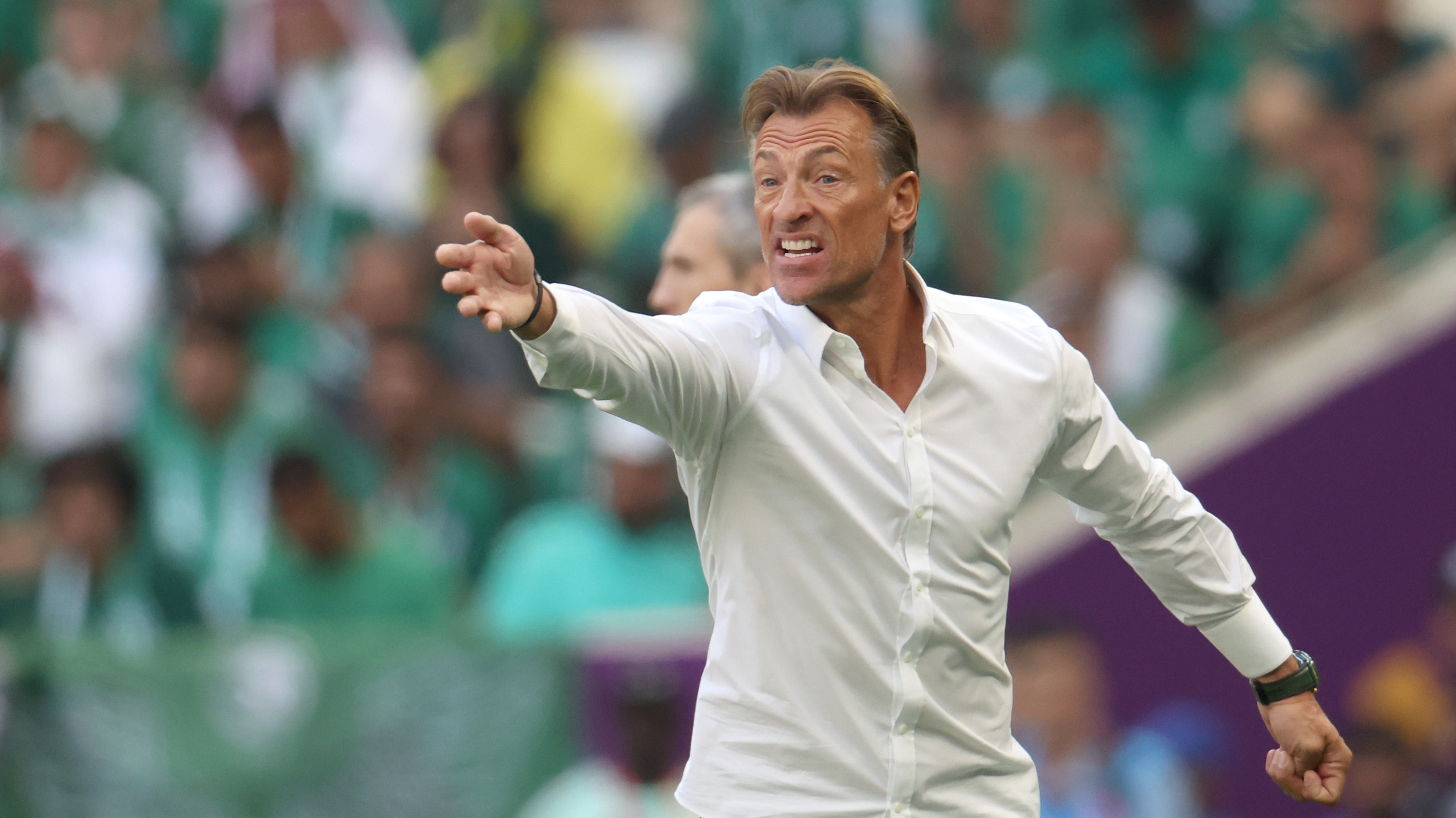 Hervé Renard's fairytale journey from Cambridge to World Cup mastermind, World Cup 2022