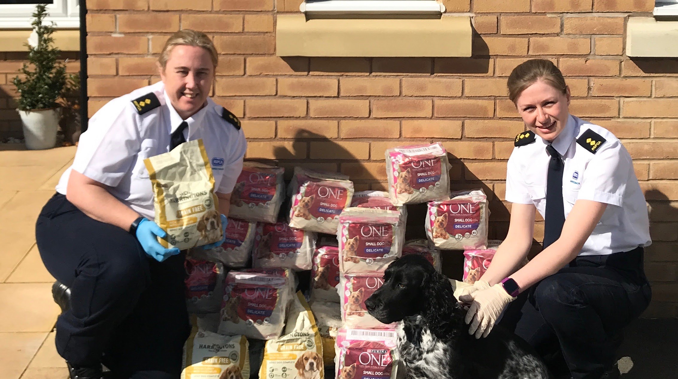 RSPCA inspectors distribute dog food to selfisolating owners in
