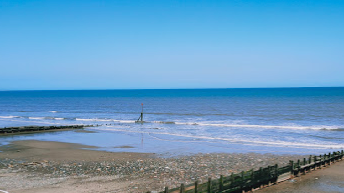 can you walk dogs on hornsea beach