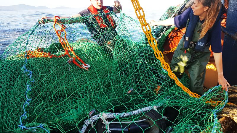 Exit signs' on fishing nets help non-target species escape