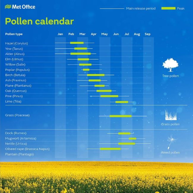 Your Pollen Forecast For The Midlands Itv News Central Your Pollen Forecast For The Midlands Itv News Central