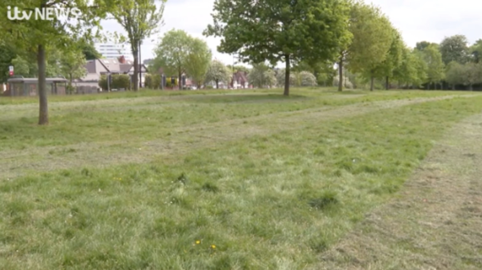 Grass in Birmingham being cut in 2 metre channels  ITV News Central