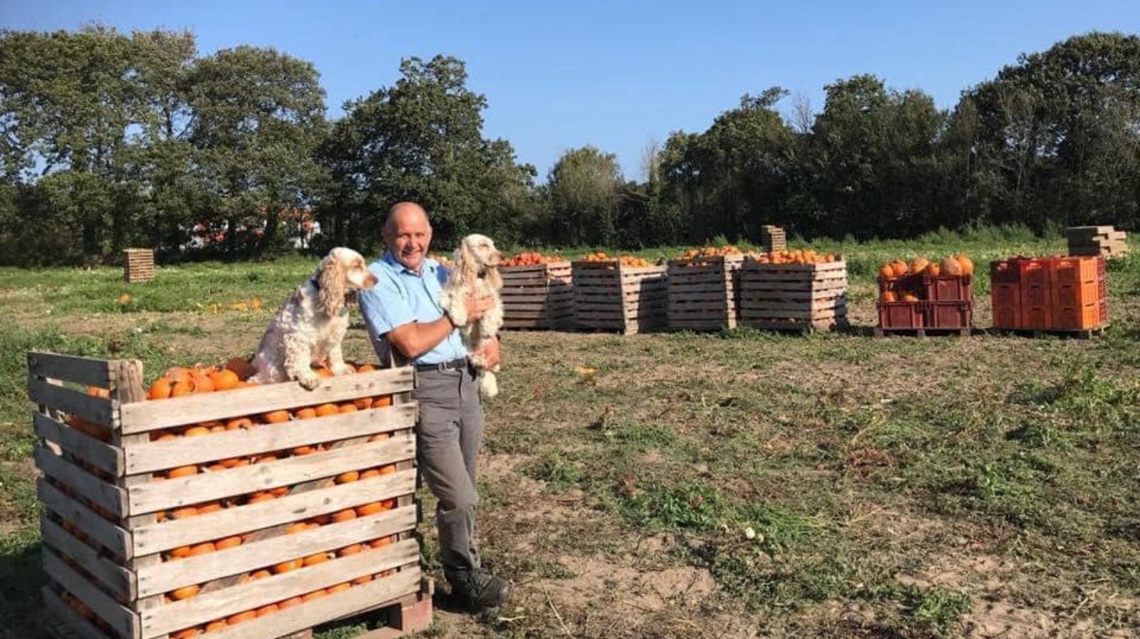 Guernsey pumpkin farmers retire ITV News Channel