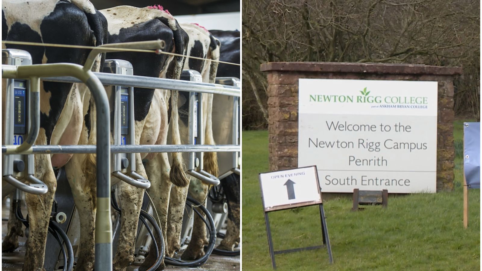 Newton Rigg College closure confirmed, unless new buyer can be found | ITV  News Border