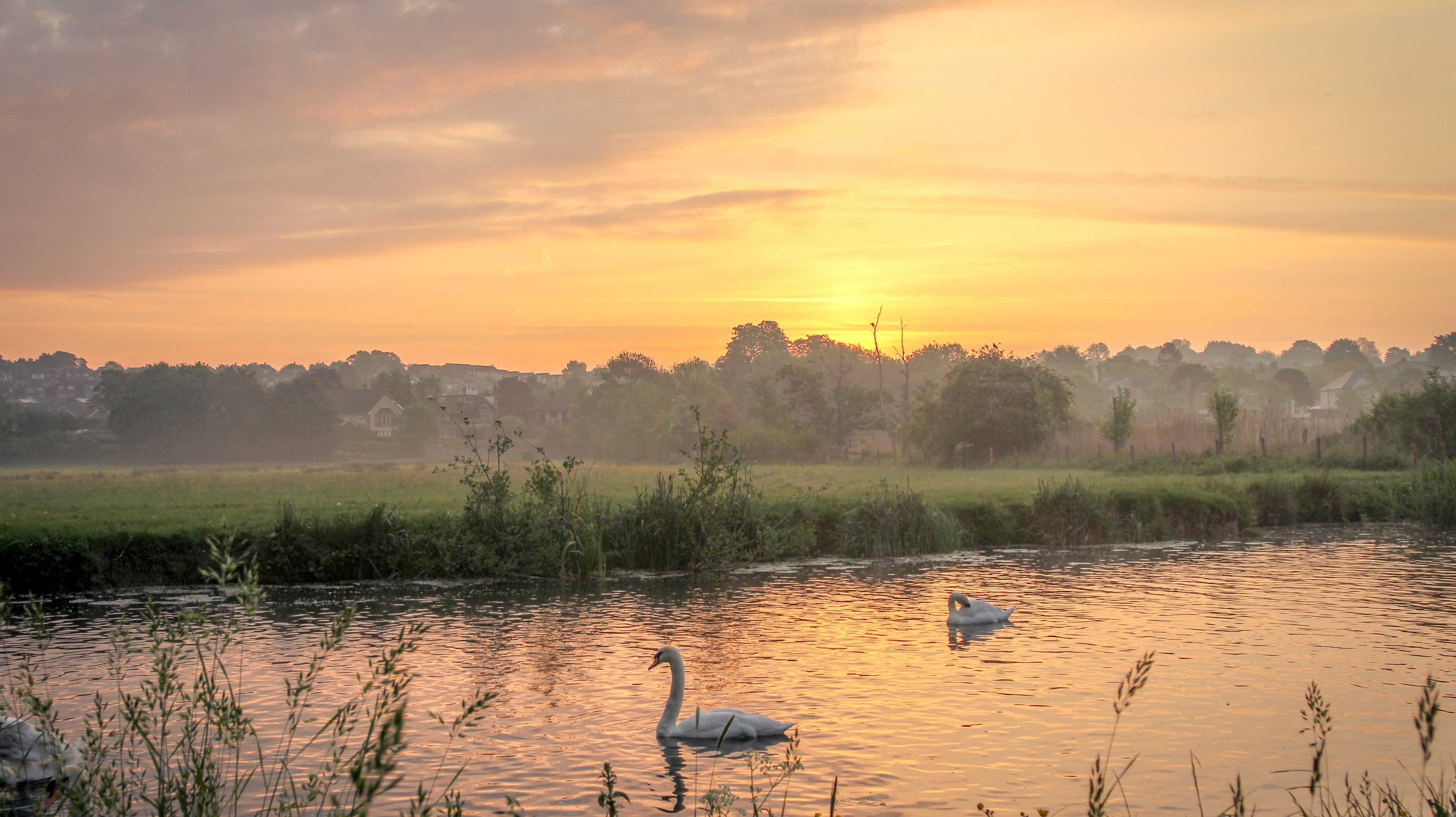 Anglia Weather: Breezy, with sunny spells and blustery showers. Cooler ...