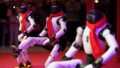 'Discrimination, violence and unlawful actions': Should we fear humanoid robots?