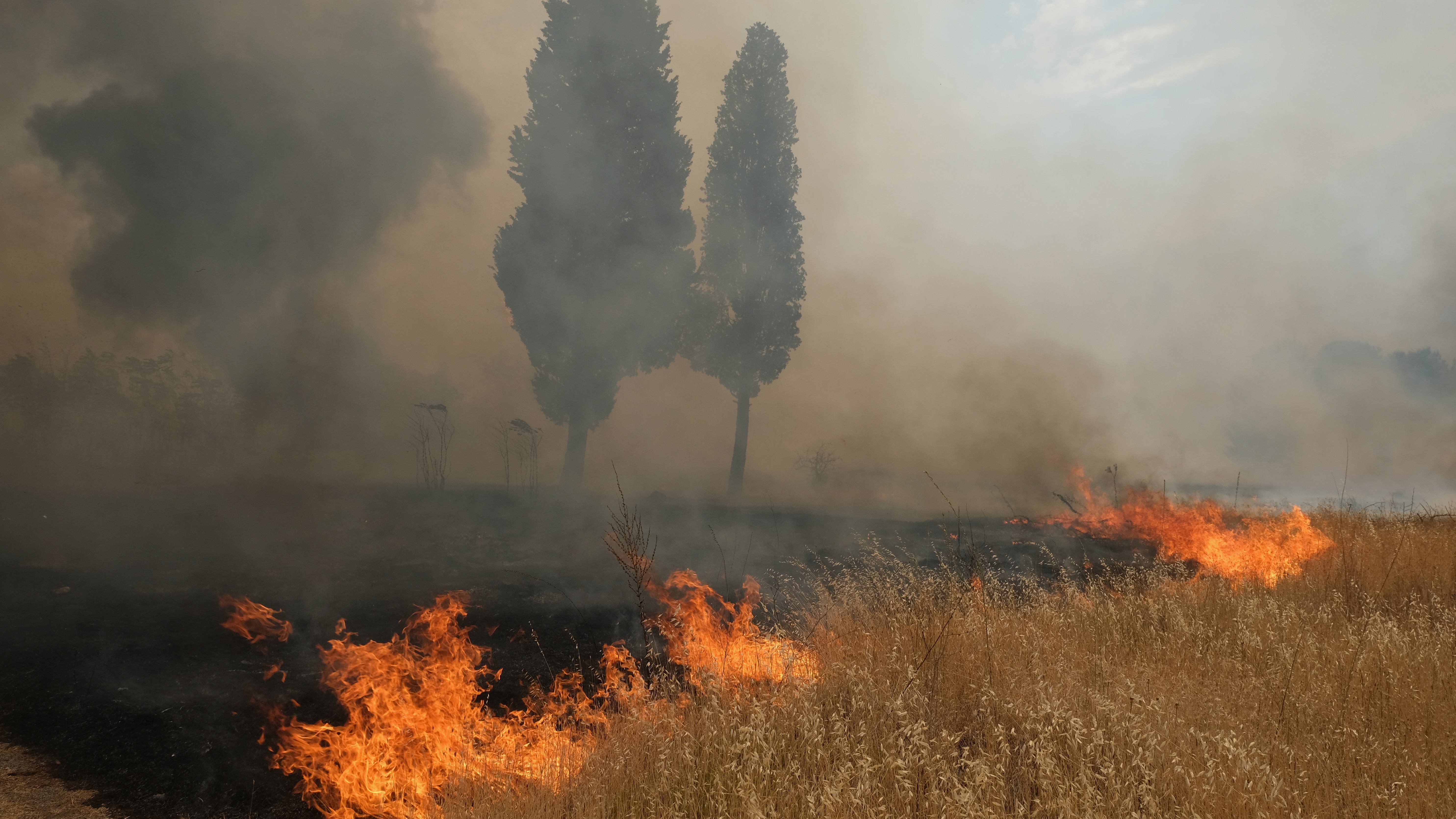 Wildfires in Europe: Where are they and what's the advice for travellers?