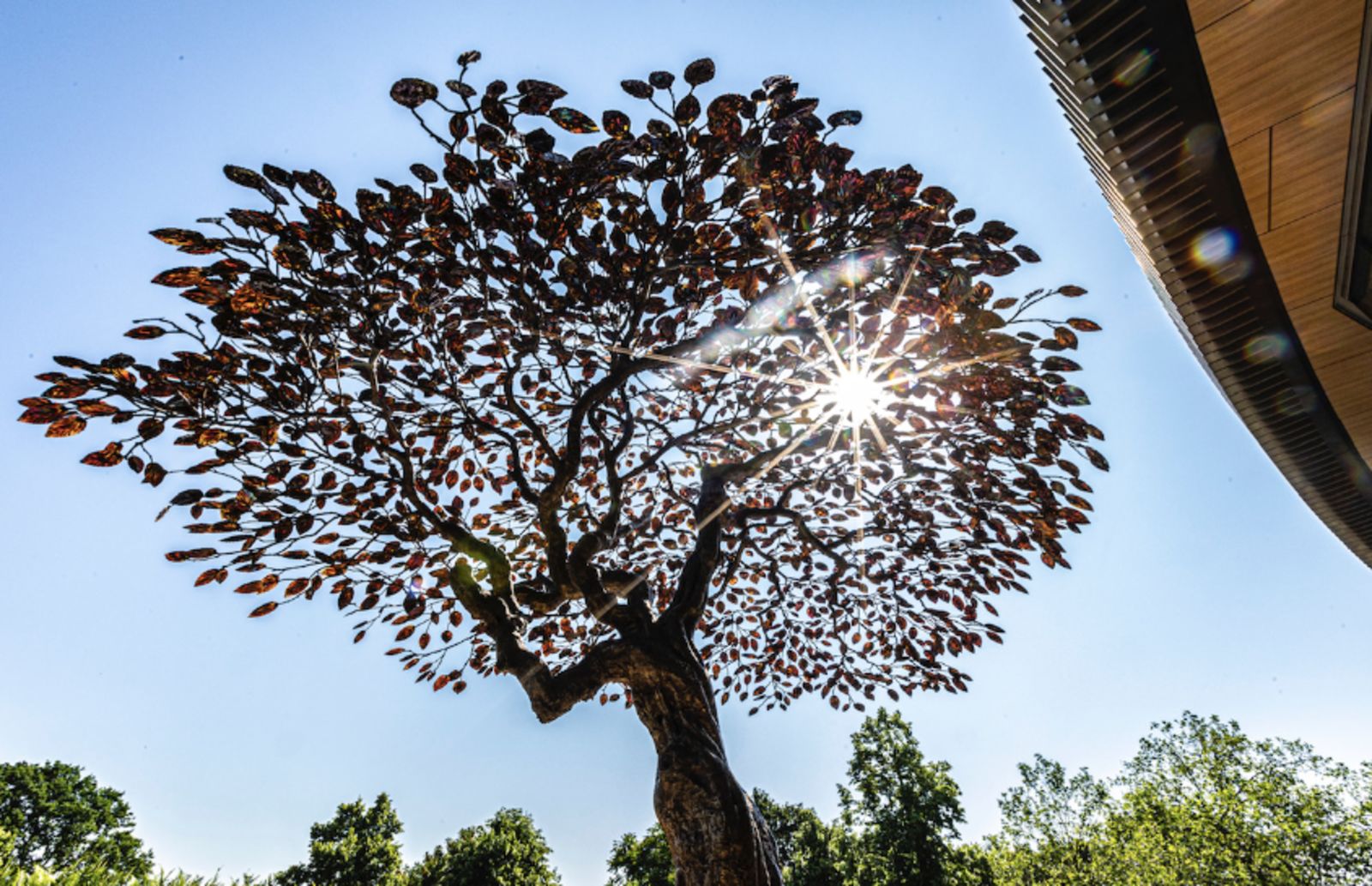 Norfolk sculptor Mark Reed creates bronze tree on display at Wimbledon ...