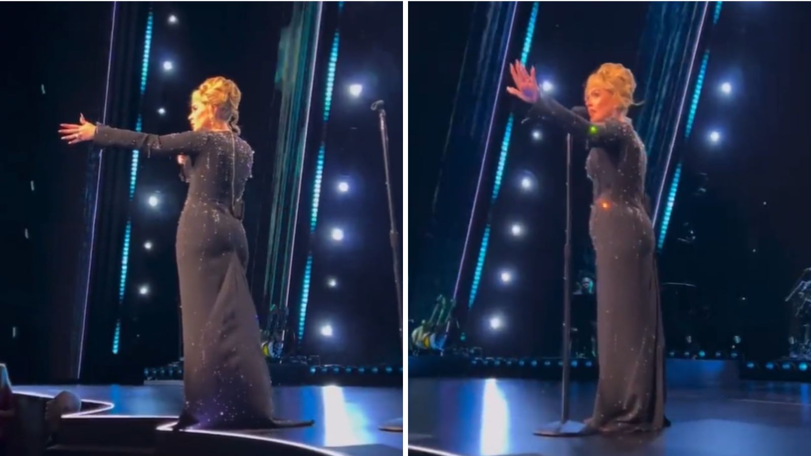 Adele interrupts show to help fan being ‘bothered’ by security