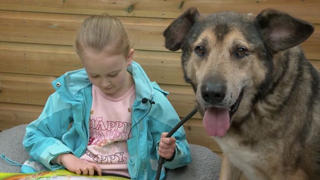 05/11/21. Summer Parkhill reads to a dog at the centre in St Boswells where she volunteers. ITV