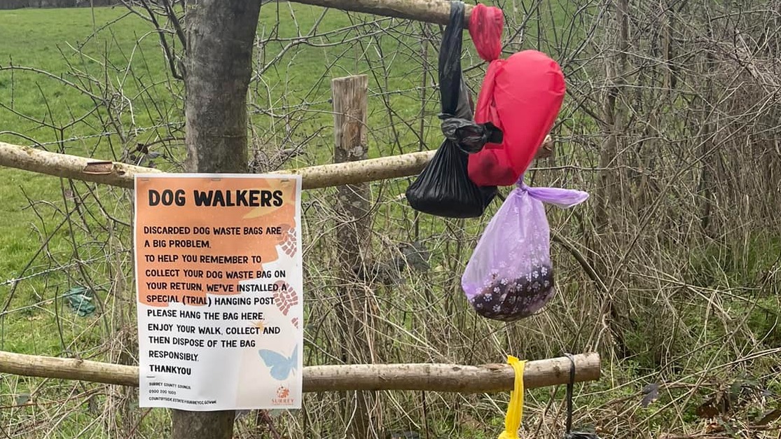 Surrey dog poo bag trees divide opinion over up mess in | ITV London