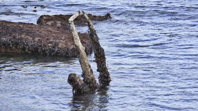 Victorian shipwreck