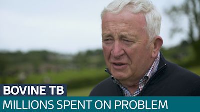 Trapped in a cycle of testing, restrictions, and culls