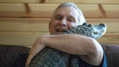 Where's Wally? US Man's TikTok famous emotional support alligator is missing