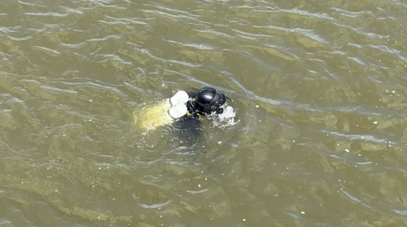 Person in diving gear in water