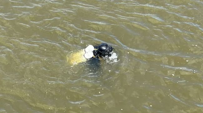 Person in diving gear in water