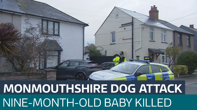 Nine-month-old baby dies after dog attack - Latest From ITV News