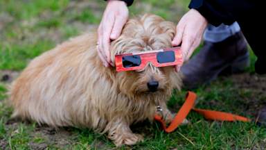Why is looking directly at a solar eclipse dangerous?