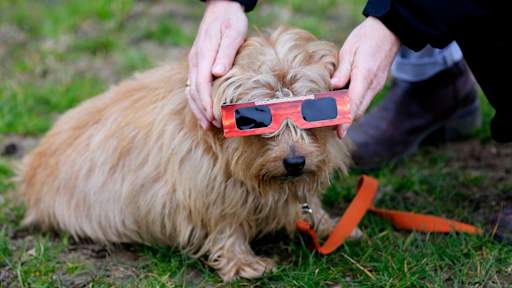 Why is looking directly at a solar eclipse dangerous?