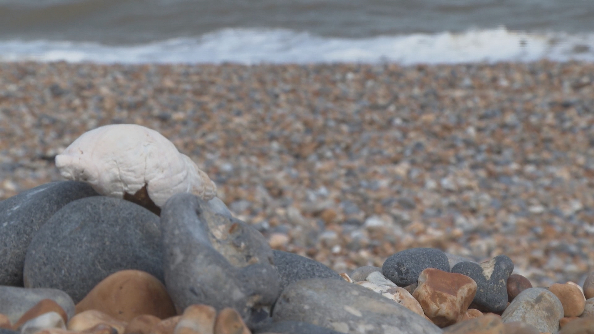 Bag Of Bones Found On Beach: Patch PM