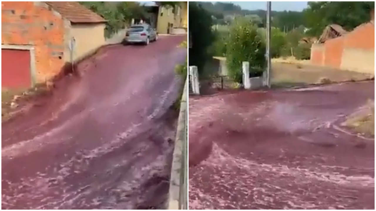 River of red wine flows through Portuguese town after distillery accident