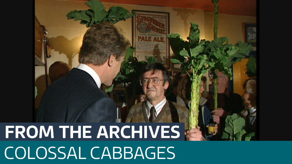 From the archives: the village which embraced a colossal cabbage ...