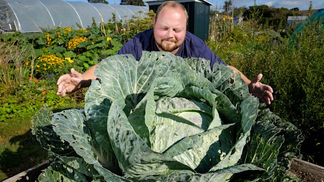 Nathan Mitchell with his giant cabbage