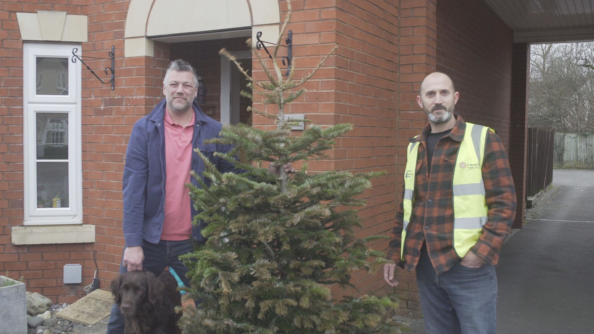 Somerset hospice raises more than £20,000 in annual Christmas tree