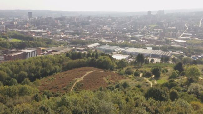 Parkwood shop springs mtb