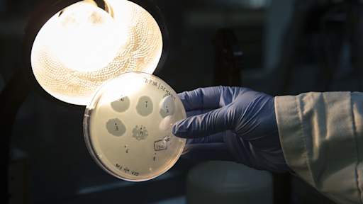Scientists use AI to design new viruses never seen before in nature