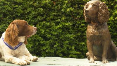 Max the Miracle Dog checks out his statue