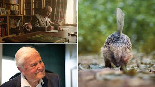 Animals convey King's wishes to Sir David Attenborough on 100th birthday