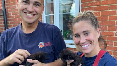 210822 kittens colchester fire