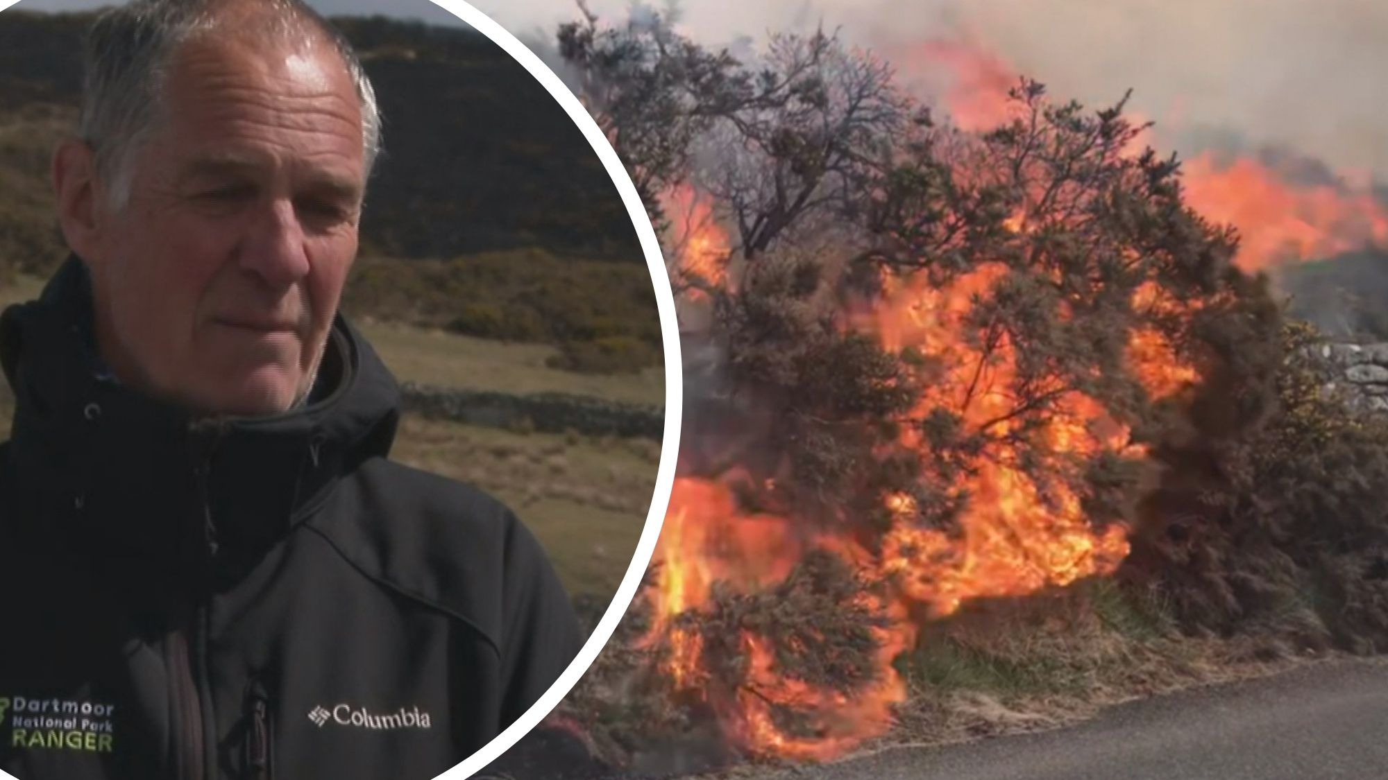 Dartmoor rangers say wild fire was 'particularly dangerous' to wildlife
