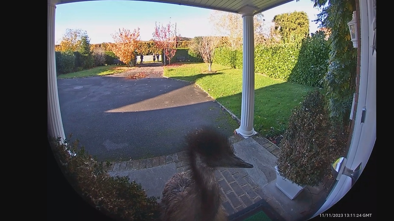 Ring doorbell 2024 camera quality